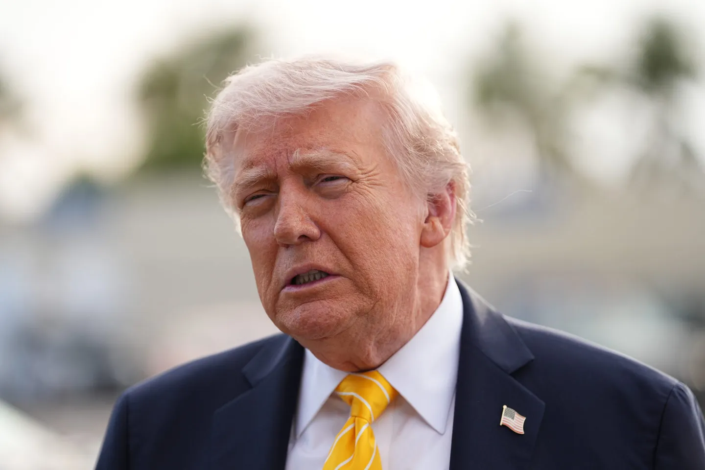 trump — character reference for 白宫草坪上的争执